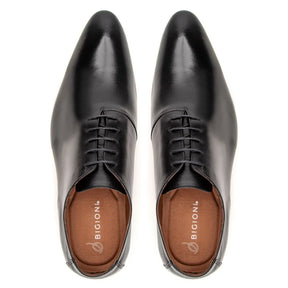 Wholecut – Sapato Oxford Couro Nobre